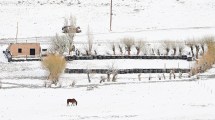 Imagen de Fotos | Nueve bajo cero y nieve: así está el sur patagónico en la previa del eclipse solar anular 2024