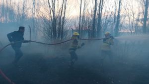 Le pidieron que llame a una ambulancia y terminó siendo atendido él: el relato personal del funcionario en el incendio en Neuquén