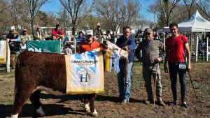 La expo ganadera de Río Colorado cerró con saldo alentador: 125 animales vendidos