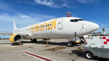 Imagen de Golpe a Intercargo: Flybondi podrá brindar servicios en tierra a otras aerolíneas