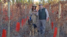 Imagen de Aniversario de Neuquén: Una bodega familiar produce vides en medio de la ciudad