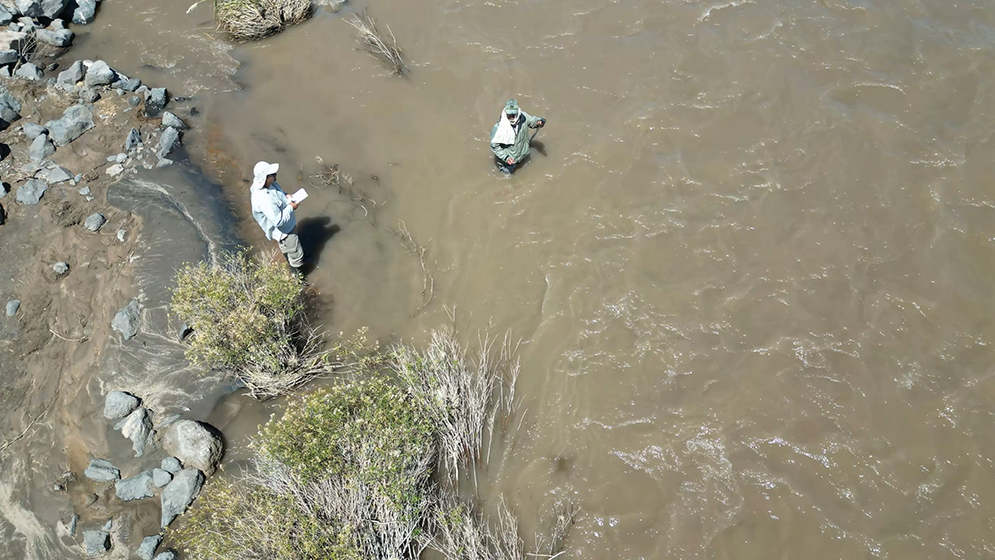 Aseguran que aumentaron los microplásticos en la cuenca del río Colorado. Foto: gentileza