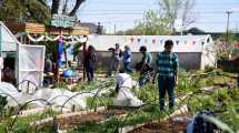 Imagen de Video | La huerta del hospital Heller y Proda cumplió 11 años cultivando comunidad: «Acá somos todos huerteros»