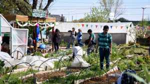 Video | La huerta del hospital Heller y Proda cumplió 11 años cultivando comunidad: «Acá somos todos huerteros»