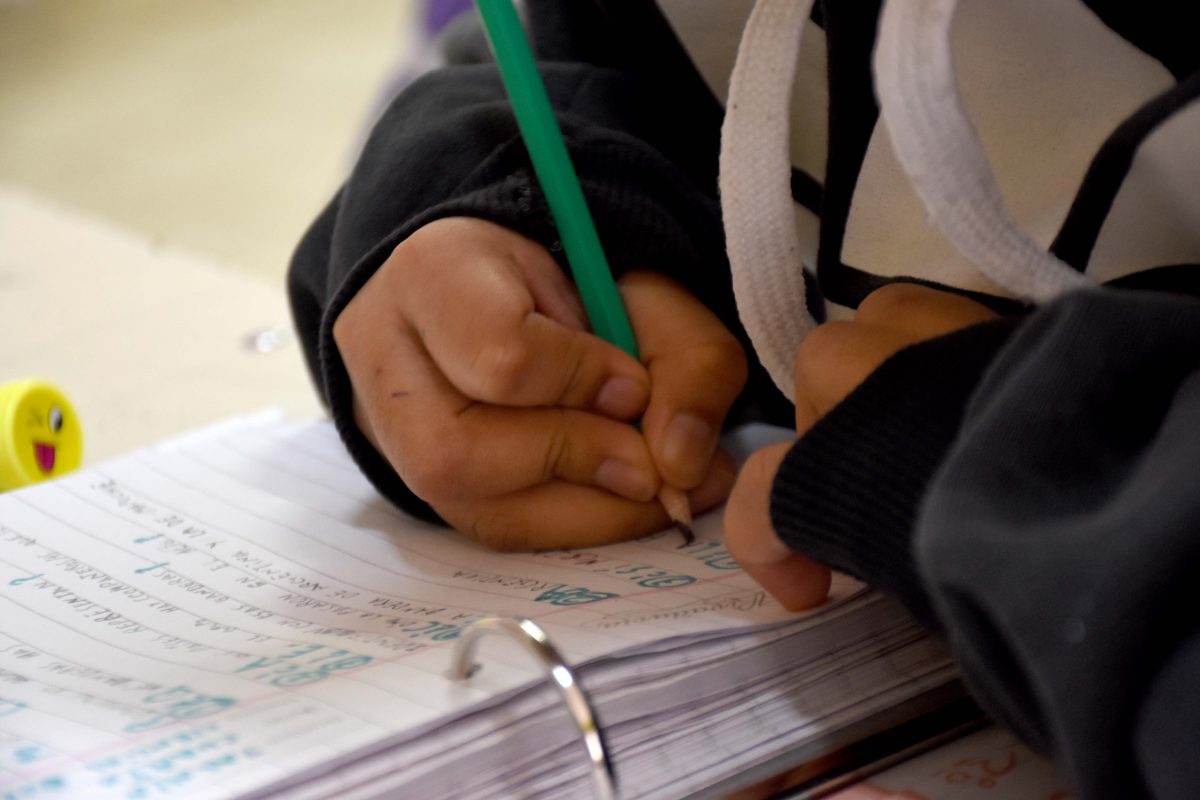 El 5 de septiembre el gremio levantó el paro y las clases se retomaron en todas las escuelas, luego de una huelga de ocho semanas. Foto Matías Subat.