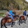 Imagen de Increíble travesía en El Bolsón: a caballo, en lancha y tractor, llegó a casa a vivir sus últimos días