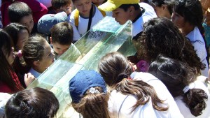 Guardianes de peces en el río Negro: la tarea de repoblar especies silvestres desde Regina