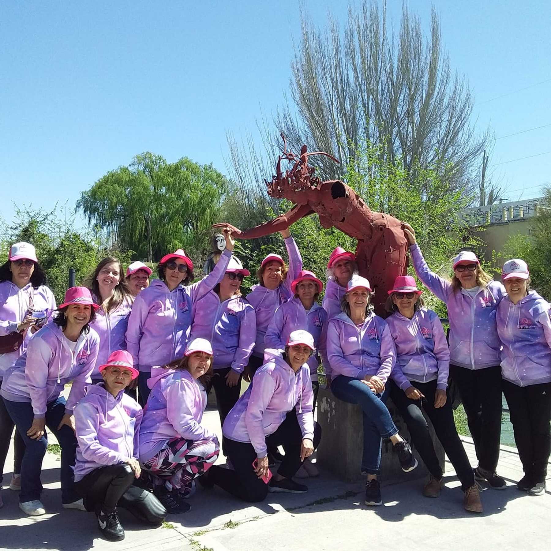 La asociación nuclea a mujeres recuperadas y con la enfermedad en curso. Foto: gentileza.