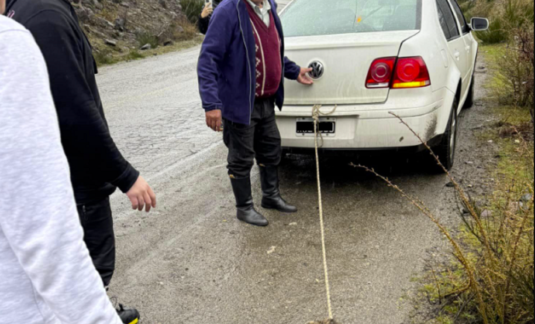 Maltrato animal en San Martín de los Andes. (La foto fue editada por este medio por tratarse de un hecho de violencia animal)