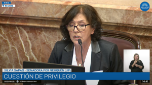 Silvia Sapag denunció presiones de un senador para firmar un dictamen: «37 veces llegaron a nosotras»