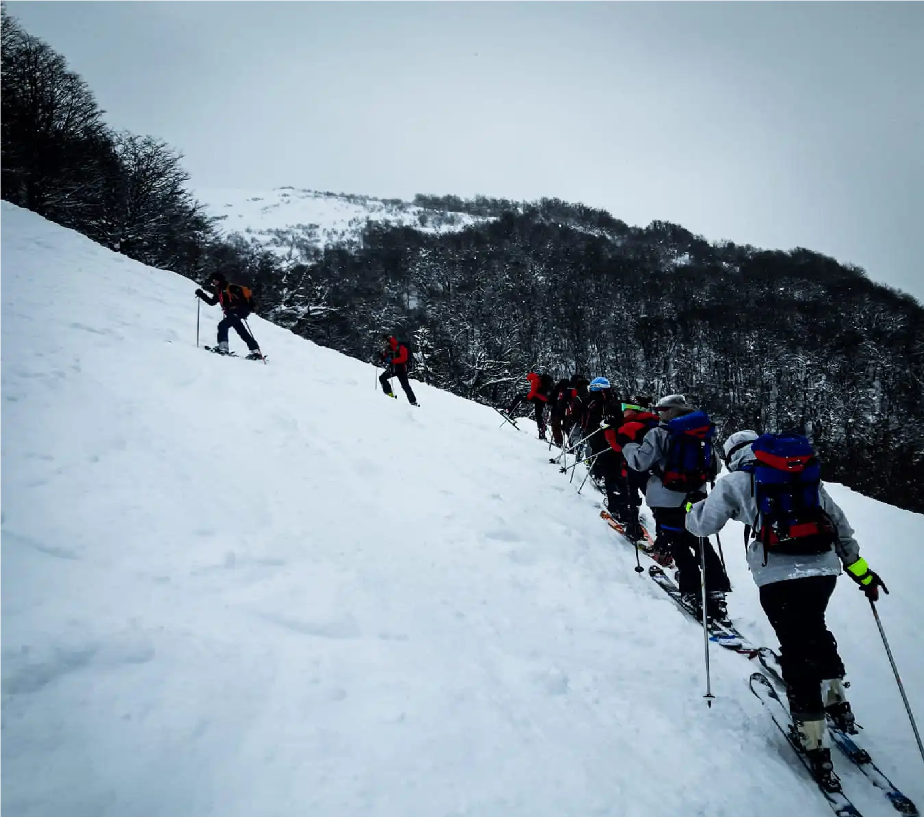 Qué es el ski de travesía, el estilo que practicaban la personas que alcanzó la avalancha en Bariloche (Foto: archivo)