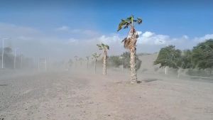 Viento zonda: dos provincias con ráfagas de más 100 km/h, qué sucederá en Mendoza este sábado