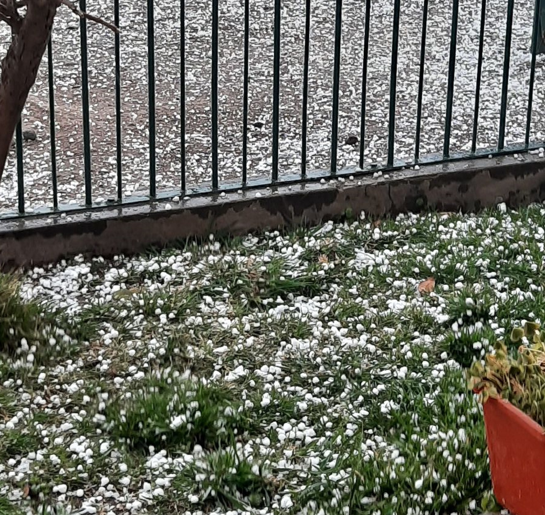 La lluvia llegó al Alto Valle de Neuquén y Río Negro y se anuncia granizo en la zona atlántica. Foto: archivo.