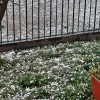 Imagen de Granizo: por qué temen que vuelva a caer en el Alto Valle este miércoles