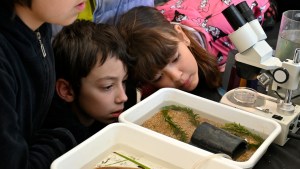 La ciencia está de fiesta en Bariloche: con la curiosidad de los chicos, se inauguró el Inibioma Abierto