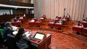 Chubut es la segunda provincia en aprobar la «Ficha Limpia» para cargos públicos no electivos