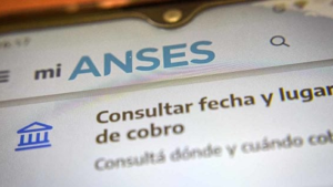 Calendario Anses: las prestaciones que cobran este martes 29 de octubre 2024