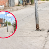 Imagen de ¿Error de cálculos? Asfaltaron una calle de Neuquén y dejaron los postes de luz en el medio, las fotos