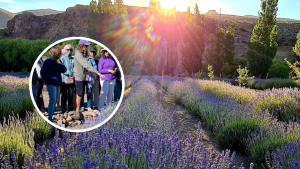 Villa Llanquín: en Lavandas del Limay en una joya de la Patagonia a 30 km de Bariloche