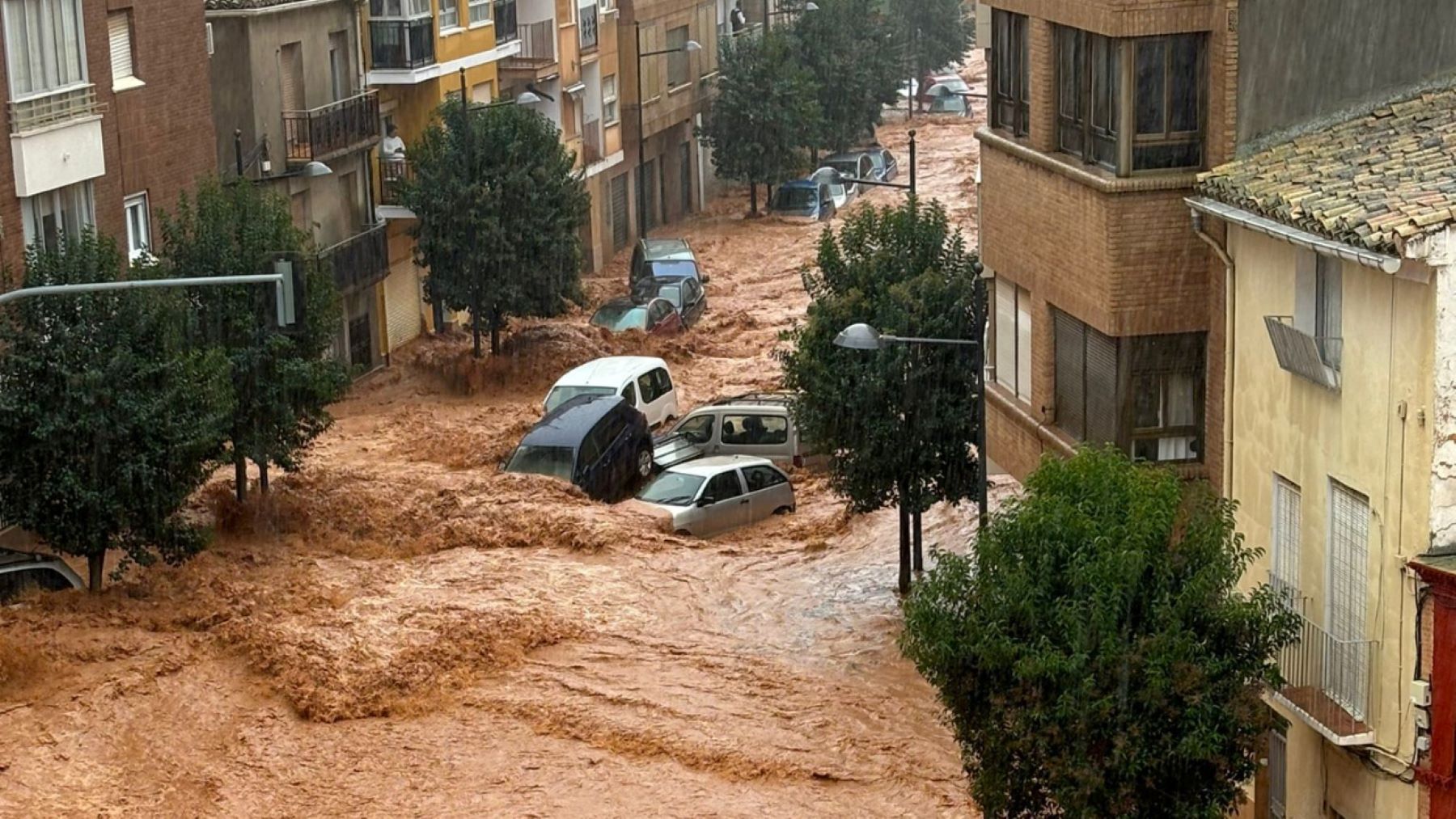 En vastas zonas de Valencia las pérdidas fueron totales