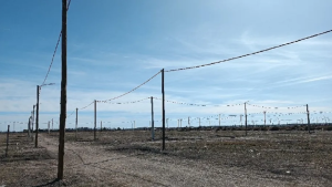 Estafas con ventas de lotes: denuncian que un grupo ofrece tierras en Neuquén, en el límite con Plottier