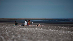 El fin de semana largo que tendrá noviembre 2024 por el feriado del Día de la Soberanía