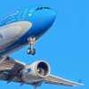 Imagen de Aerolíneas Argentinas: Diputados vuelve a discutir la privatización en pleno conflicto con aeronáuticos