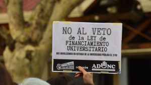 Los votos sobre el veto de Milei al financiamiento universitario en Diputados: cómo votan desde Neuquén y Río Negro