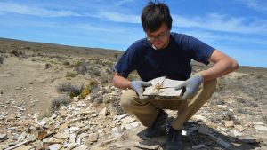 El renacuajo más antiguo mundo está en la Patagonia: usaron una supercomputadora para su análisis