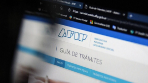 Monotributo de AFIP: los montos a pagar en noviembre 2024