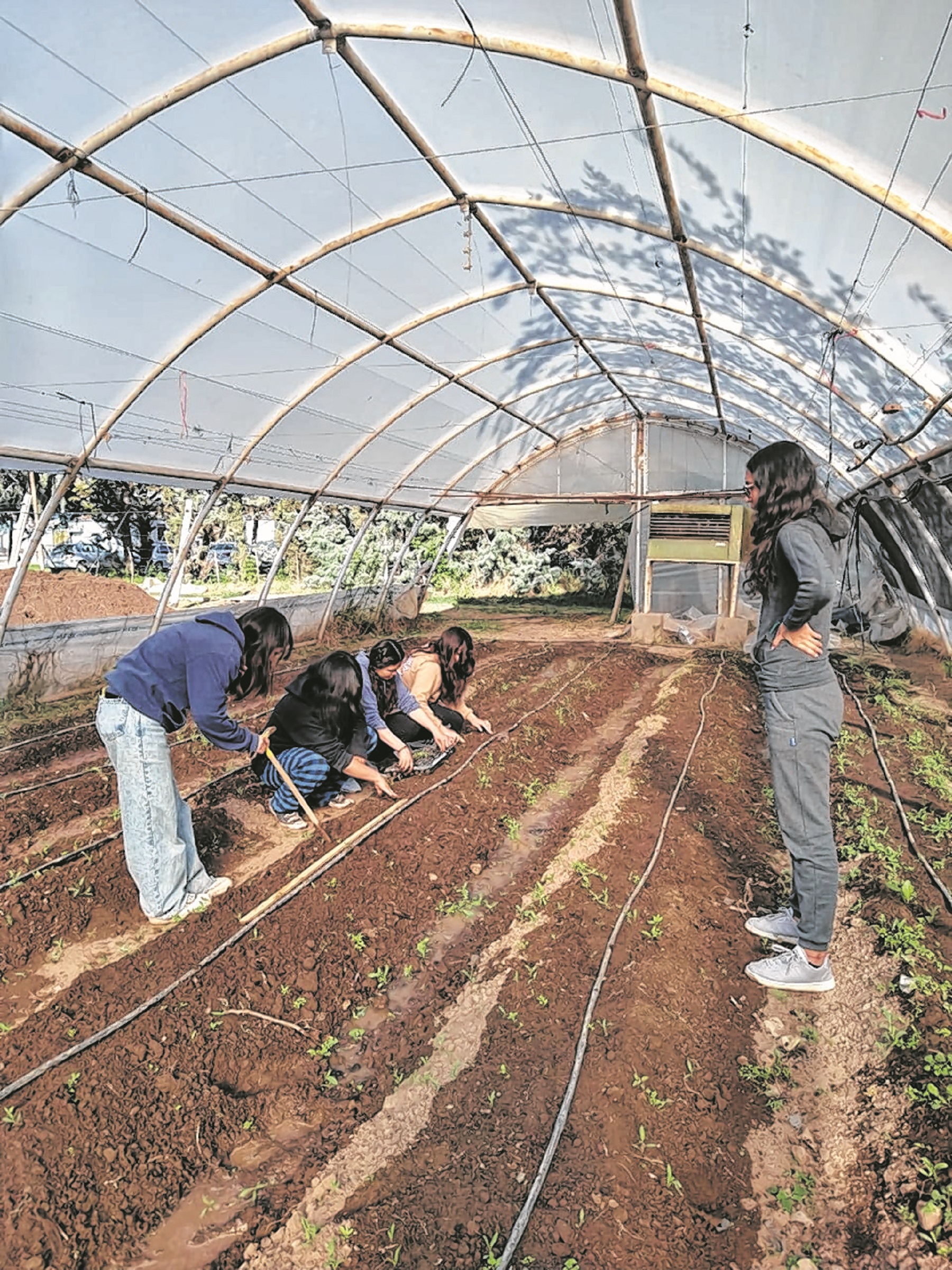 Educación agraria.