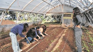 La educación agraria