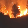 Imagen de Incendio en Parque Norte de Neuquén: bomberos lograron controlar la situación