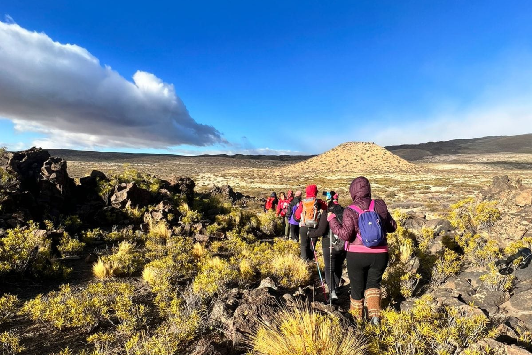 Excursión al Mar de fósiles de Vaca Muerta, en Buta Ranquil. Foto gentileza Geosenderos Neuquén. 