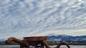 Bichos gigantes: las obras que deslumbran en los paisajes de la Patagonia de Tomás Schinelli