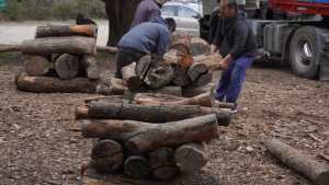 Plan Calor 2024 en Bariloche entrega más de 7.400 metros cúbicos de leña a familias vulnerables