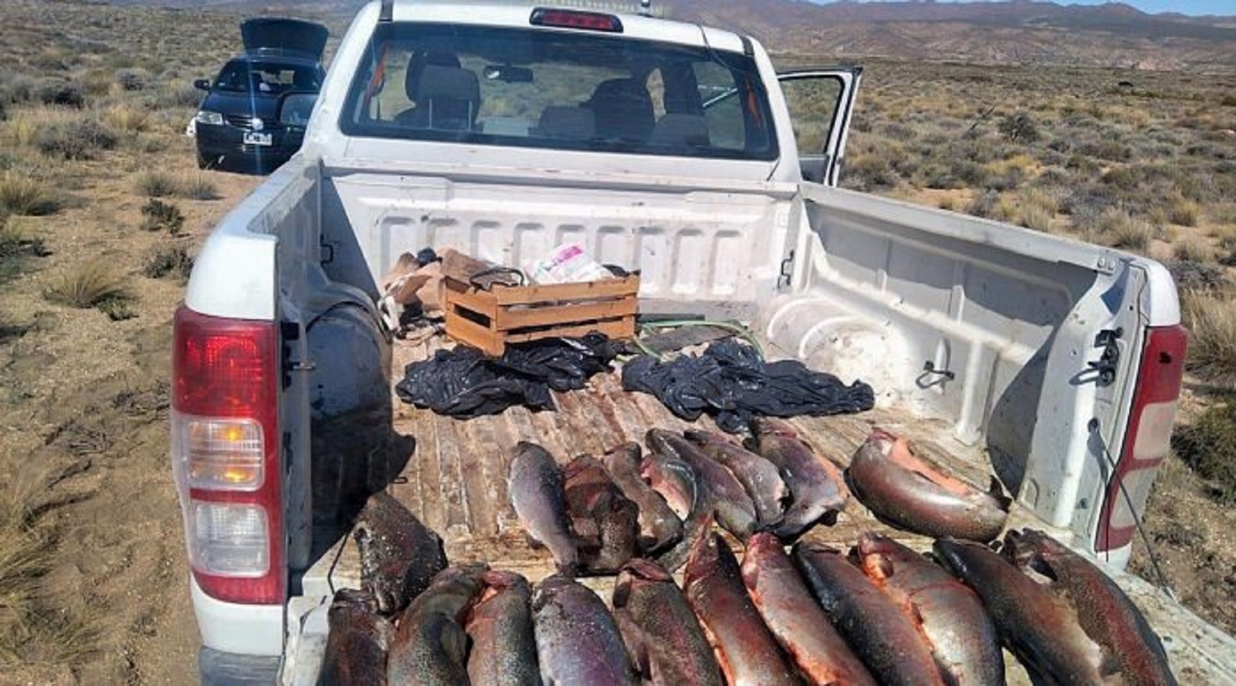 Pesca furtiva en Neuquén. Foto: gentileza. 