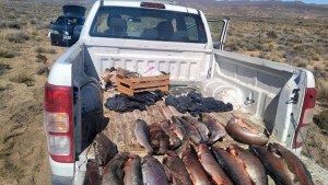 Pesca furtiva en Neuquén: controles en el lago y la Ruta 237 incautaron casi 100 truchas arcoíris