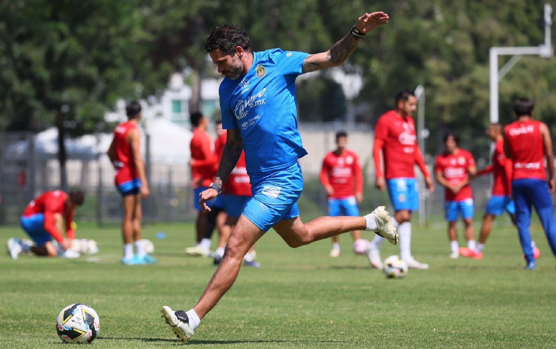 Fernando Gago ya tendría reemplazante en Chivas. 