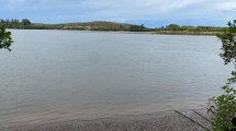 Imagen de Quién era el hombre murió en el río Negro, en Viedma: retoman la búsqueda de la joven este martes