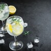 Imagen de Cómo estará el tiempo para el gran festival gratis de Neuquén que traerá gin, música y gastronomía