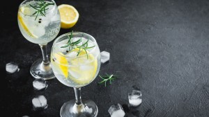 Cómo estará el tiempo para el gran festival gratis de Neuquén que traerá gin, música y gastronomía