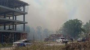 Gran incendio forestal en Plottier: Bomberos trabaja en el lugar y hay desvíos en el tránsito