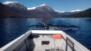 Detectan un muelle ilegal en uno de los extremos del lago Nahuel Huapi en Bariloche