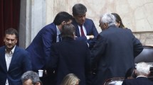 Imagen de Se quebró la UCR: Lousteau y Manes forman un nuevo bloque con 12 diputados, quiénes son