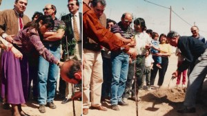 Homenajes con vencimiento: evalúan cómo remediar la tala del árbol dedicado a Hugo Berbel 