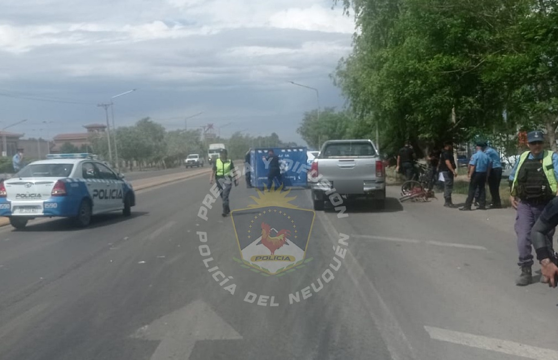 Murió una mujer en Ruta 22 en Neuquén. Foto: gentileza Policía. 