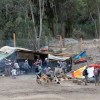 Imagen de Caso Ginóbili: mapuches sobreseídos en Villa La Angostura