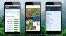 Imagen de Hallazgo de un ave en peligro de extinción: cómo funciona la plataforma clave para la conservación