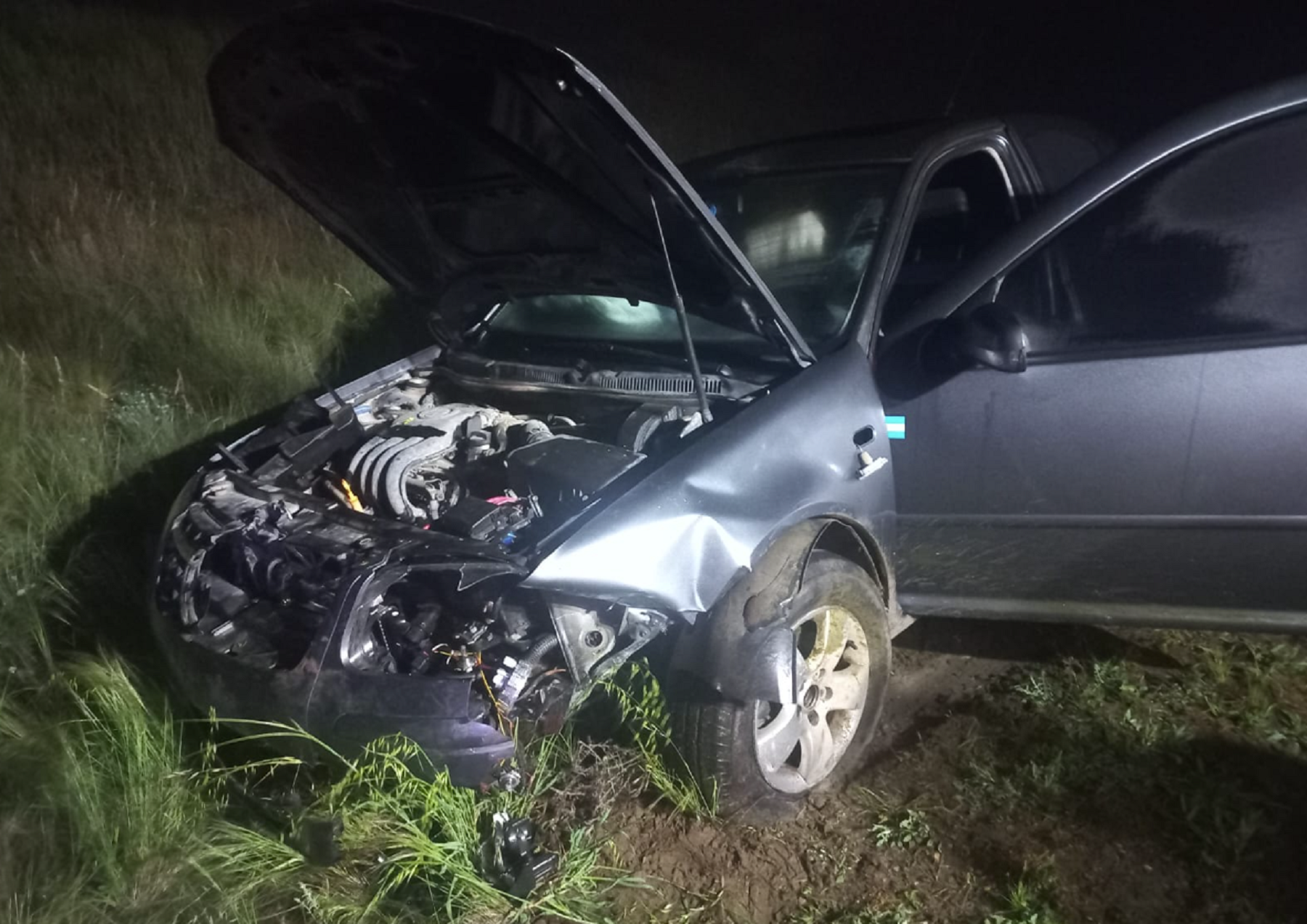 Chocaron contra un jabalí en la Ruta 250. Foto: Exitos 96.9 Gral Conesa